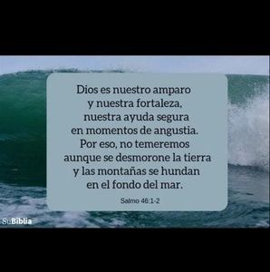 Meet your Posher, Iveth